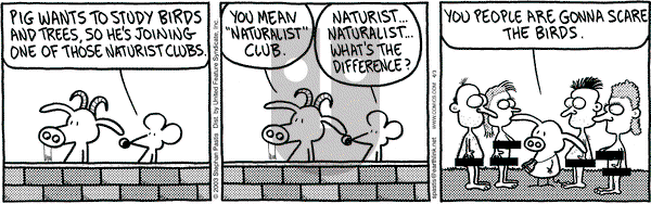 Pearls Before Swine on Thursday April 3, 2003 Comic Strip