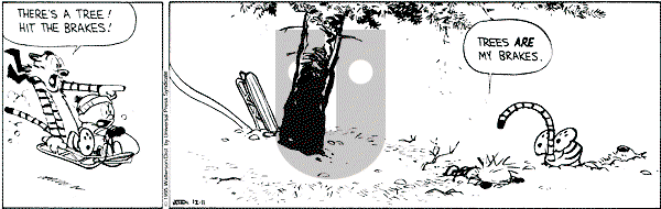 Calvin and Hobbes - Monday December 11, 1995 Comic Strip