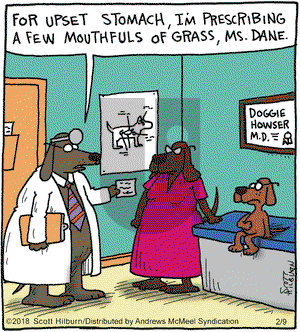 The Argyle Sweater on Friday February 9, 2018 Comic Strip