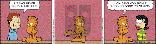 Garfield - Friday December 6, 2024 Comic Strip