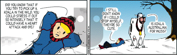 Cow and Boy Classics on Tuesday December 16, 2008 Comic Strip