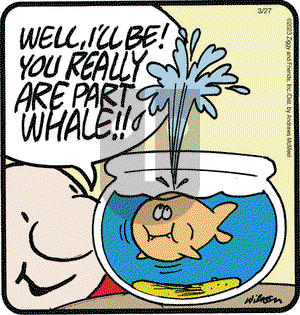 Ziggy - Monday March 27, 2023 Comic Strip