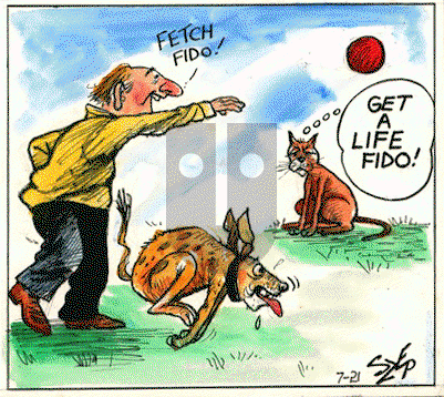 Today's Szep on Saturday November 12, 2022 Comic Strip