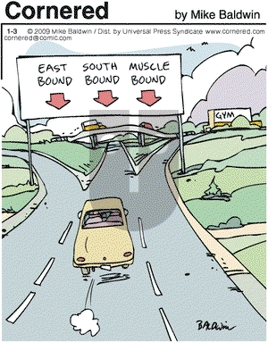 Cornered on Saturday January 3, 2009 Comic Strip