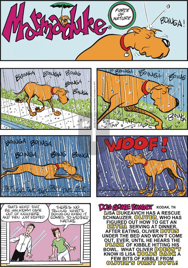 Marmaduke on Sunday March 9, 2025 Comic Strip