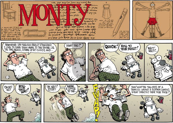 Monty on Sunday June 19, 2016 Comic Strip