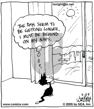 Kit 'N' Carlyle on Monday February 28, 2005 Comic Strip