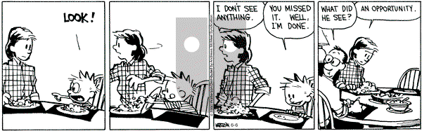 Calvin and Hobbes - Saturday June 6, 2020 Comic Strip