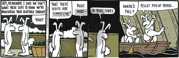 Overboard on Saturday June 25, 2005 Comic Strip