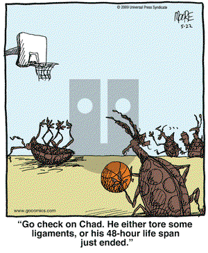 In the Bleachers on Friday May 22, 2009 Comic Strip