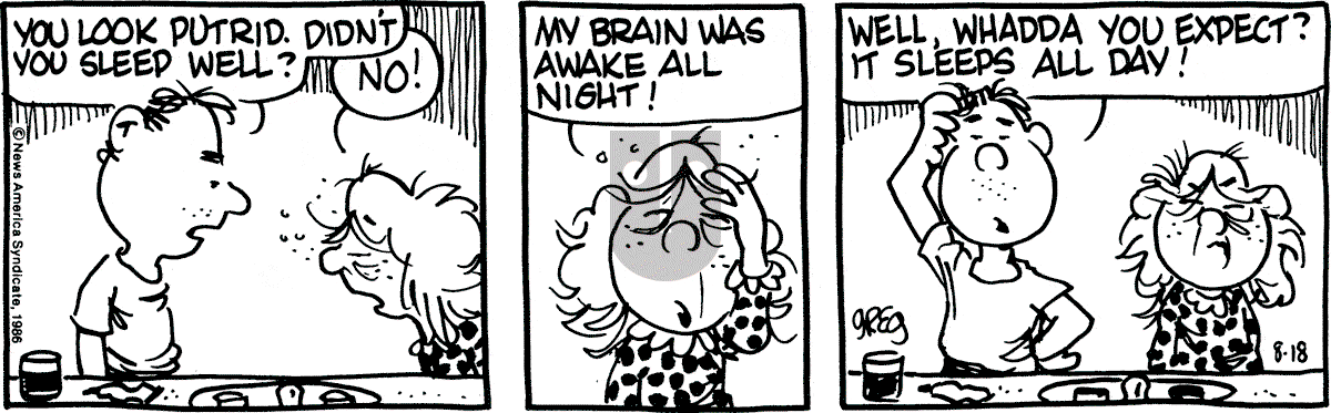 Luann - Monday August 18, 1986 Comic Strip