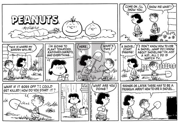Peanuts - Sunday May 19, 1996 Comic Strip