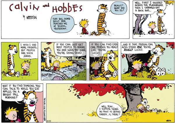 Calvin and Hobbes on Sunday October 8, 1989 Comic Strip