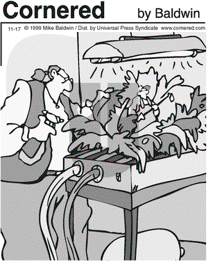 Cornered on Wednesday November 17, 1999 Comic Strip