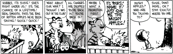 Calvin and Hobbes on Monday April 29, 1991 Comic Strip