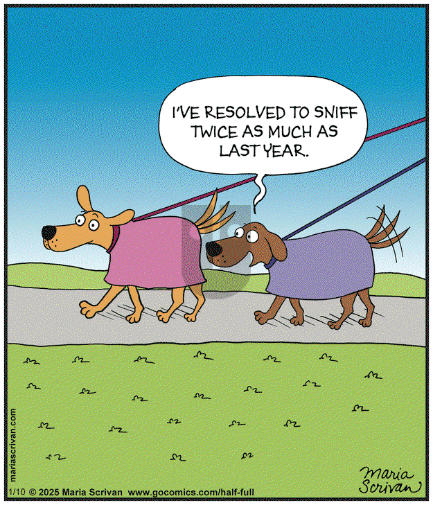 Half Full on Friday January 10, 2025 Comic Strip