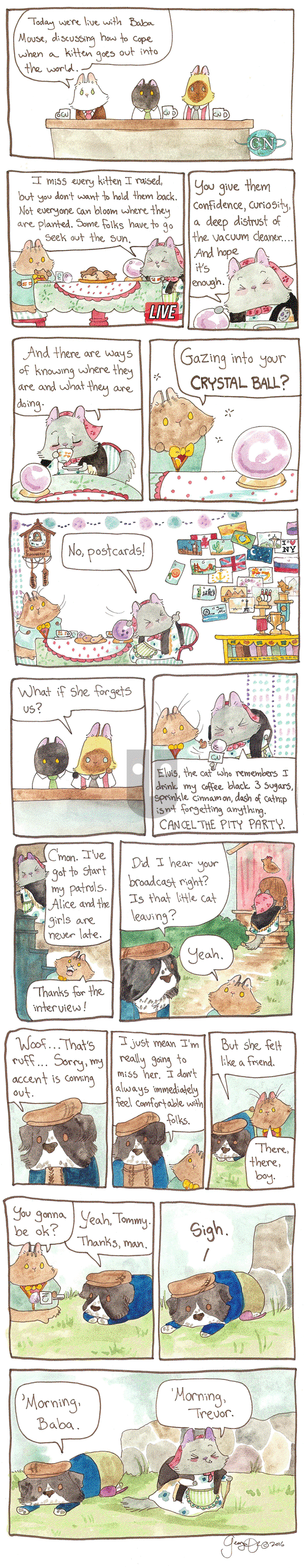 Breaking Cat News on Saturday March 11, 2017 Comic Strip