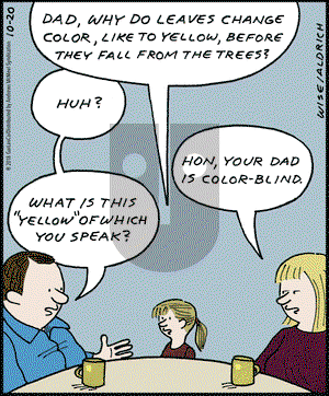 Real Life Adventures on Saturday October 20, 2018 Comic Strip