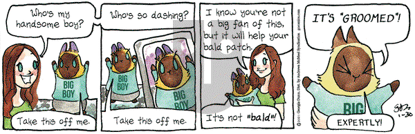 Breaking Cat News on Saturday January 30, 2021 Comic Strip