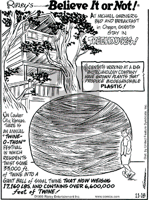 Ripley's Believe It or Not on Thursday November 18, 1999 Comic Strip