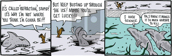 Overboard on Saturday January 29, 2011 Comic Strip