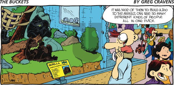 The Buckets on Sunday August 8, 2021 Comic Strip