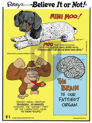 Ripley's Believe It or Not on Tuesday September 1, 2020 Comic Strip