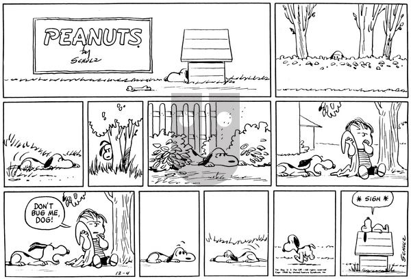 Peanuts on Sunday December 4, 1960 Comic Strip