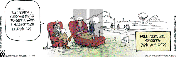 Non Sequitur on Saturday November 24, 2018 Comic Strip