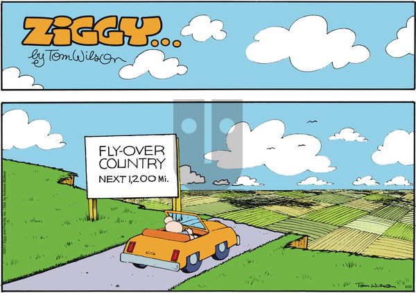 Ziggy on Sunday June 25, 2017 Comic Strip