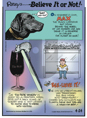 Ripley's Believe It or Not on Friday April 24, 2020 Comic Strip