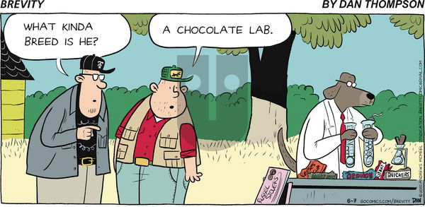 Brevity on Sunday June 7, 2020 Comic Strip