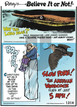 Ripley's Believe It or Not on Saturday December 14, 2013 Comic Strip