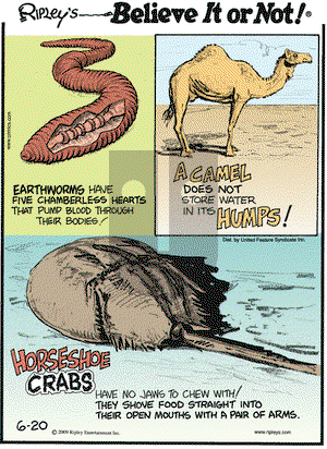 Ripley's Believe It or Not on Saturday June 20, 2009 Comic Strip