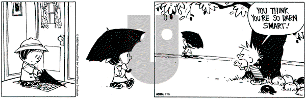 Calvin and Hobbes on Wednesday July 12, 1995 Comic Strip