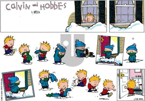 Calvin and Hobbes on Sunday February 21, 1988 Comic Strip