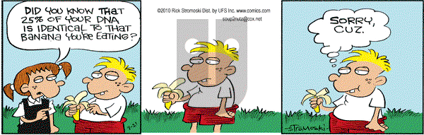 Soup to Nutz - Old on Tuesday September 21, 2010 Comic Strip