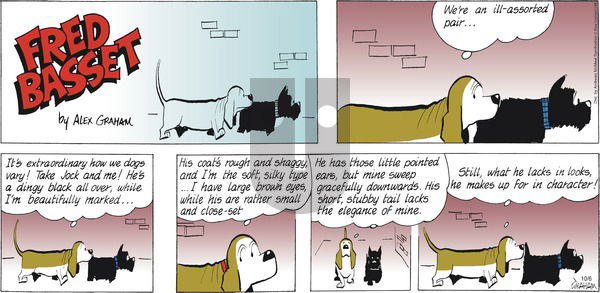 Fred Basset - Sunday October 6, 2024 Comic Strip
