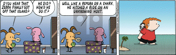 Pearls Before Swine on Friday May 24, 2013 Comic Strip