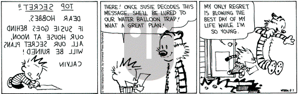 Calvin and Hobbes on Saturday August 7, 1993 Comic Strip