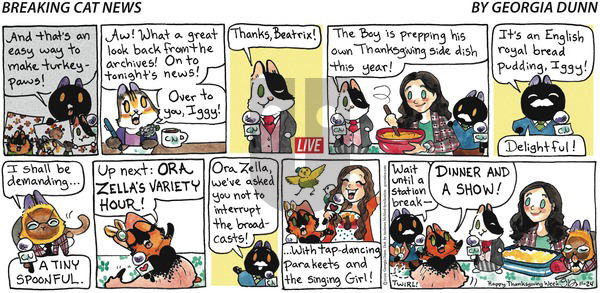 Breaking Cat News - Sunday November 24, 2024 Comic Strip