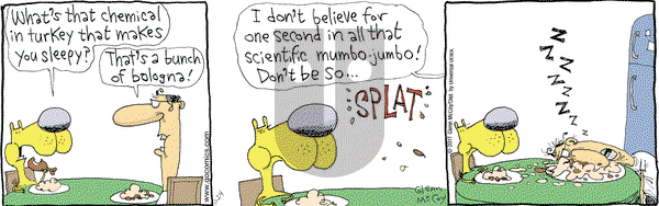 The Duplex on Thursday November 24, 2011 Comic Strip