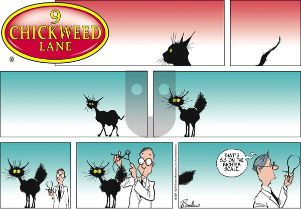 9 Chickweed Lane on Sunday June 26, 2016 Comic Strip