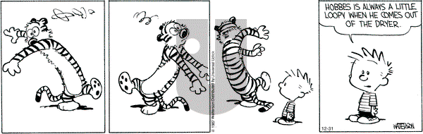 Calvin and Hobbes - Saturday December 31, 2016 Comic Strip