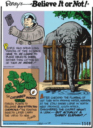Ripley's Believe It or Not on Monday November 15, 2010 Comic Strip