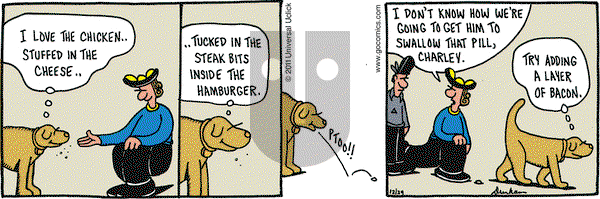 Overboard on Thursday December 29, 2011 Comic Strip