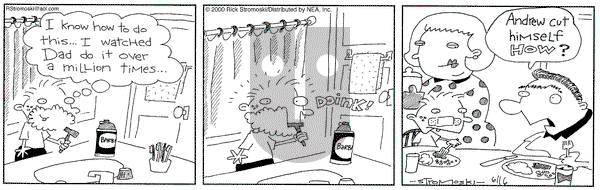 Soup to Nutz - Old on Friday June 16, 2000 Comic Strip