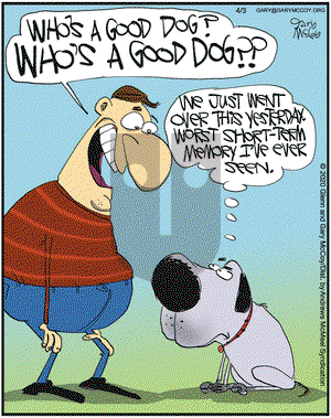 The Flying McCoys on Friday April 3, 2020 Comic Strip