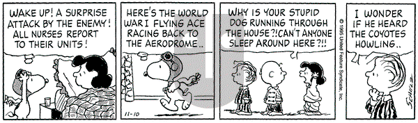 Peanuts on Friday November 10, 1995 Comic Strip