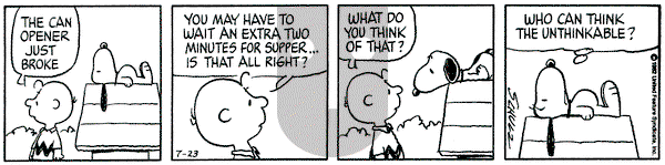 Peanuts on Friday July 23, 1982 Comic Strip